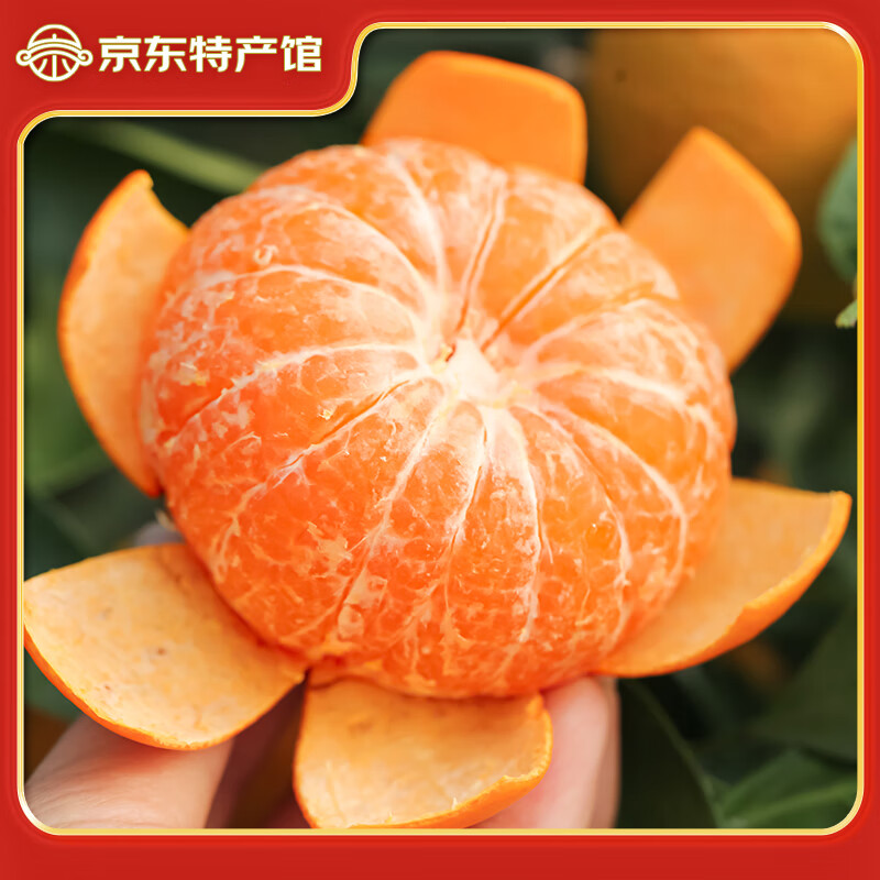 滇鲜生云南高山种植红河沃柑橘子基地采摘蜜橘新鲜时令柑橘薄皮桔子水果 3斤小果  单果60mm-65mm