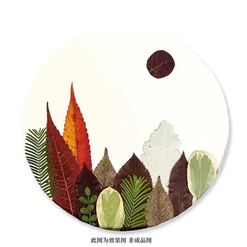 科语手工植物标本diy书签手工干花贴画制作树叶画压花画贴花画材料diy