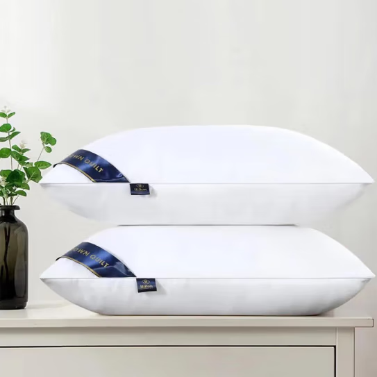 五星级酒店枕芯羽丝绒家用一对枕装 白色低枕一对装【48*74cm】 白色一对装 低枕属于什么档次？