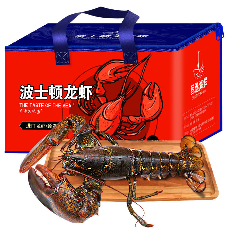 御鲜之王 鲜活波士顿龙虾450-550g/只 2只 波龙 生鲜大龙虾礼盒 海鲜活虾