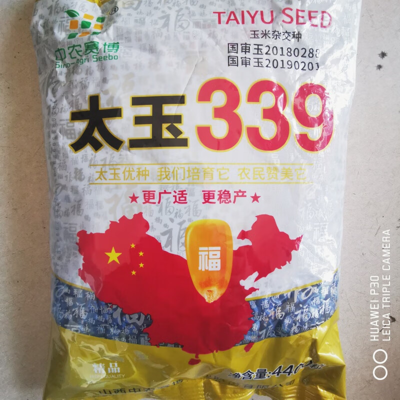 麦基乐国审太玉339大田玉米种子丰产矮杆大棒抗病丰产抗旱春夏季播 太