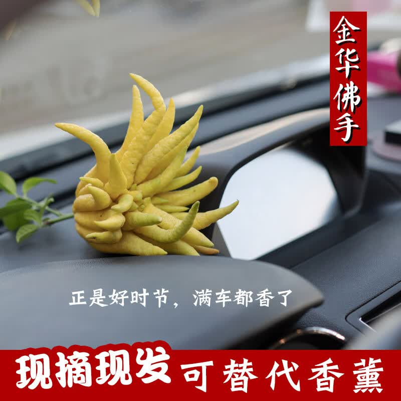 星云湖金华佛手果佛手柑香橼 现摘现发带枝条 食用观赏闻香清供佛手 【食用果】（果形大小颜色随机丨称重发货）1斤