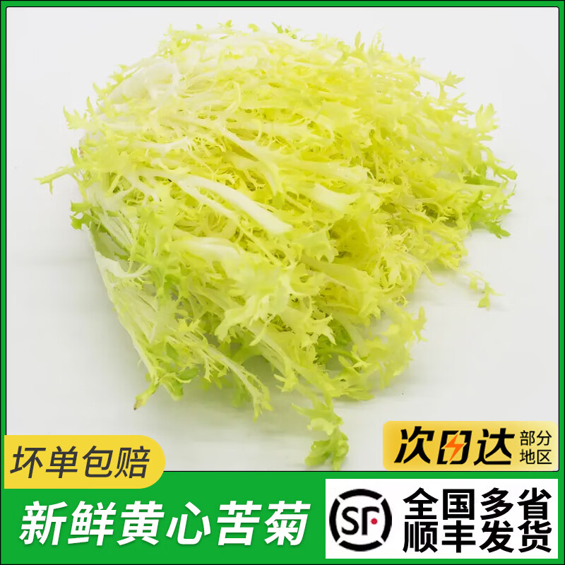 黄心苦菊新鲜蔬菜苦菊蔬菜沙拉西餐食材健身轻食一斤蔬菜沙拉 250g