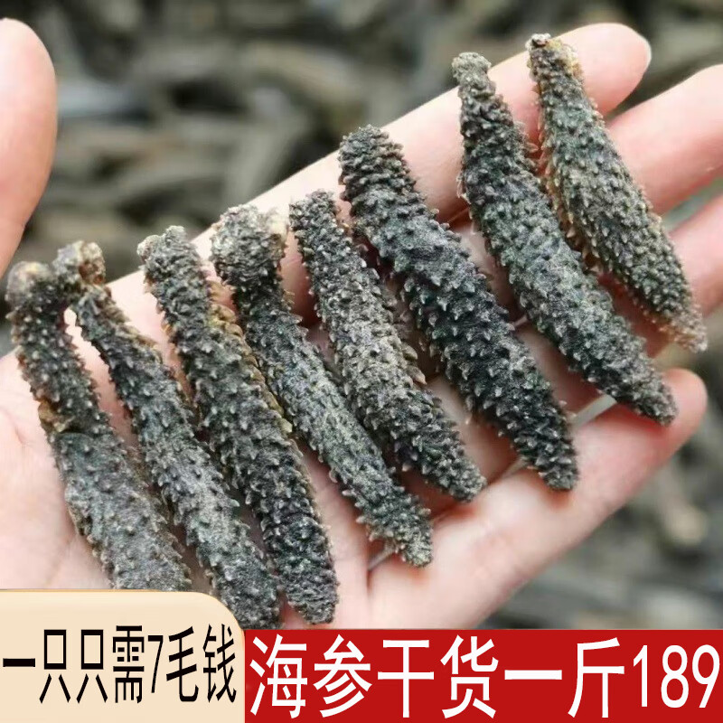 送鮑魚野生海參干貨孕婦級(jí)純野干散裝批發(fā)正宗黑刺參非即食海參 黑刺參20個(gè)試吃約3厘米試吃裝