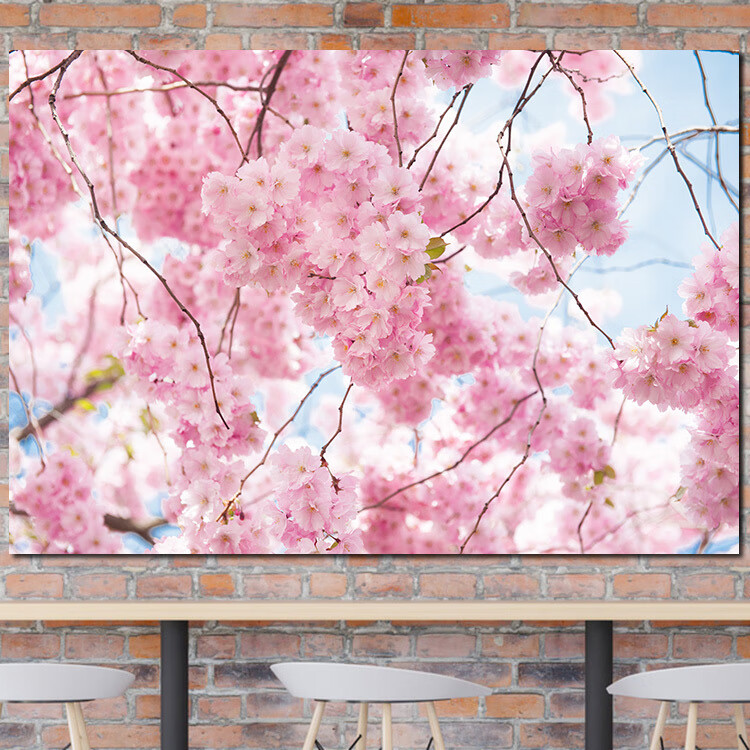 桃花樱花海报田园风光壁纸图风景挂画鲜花家居装饰贴画壁画大自然