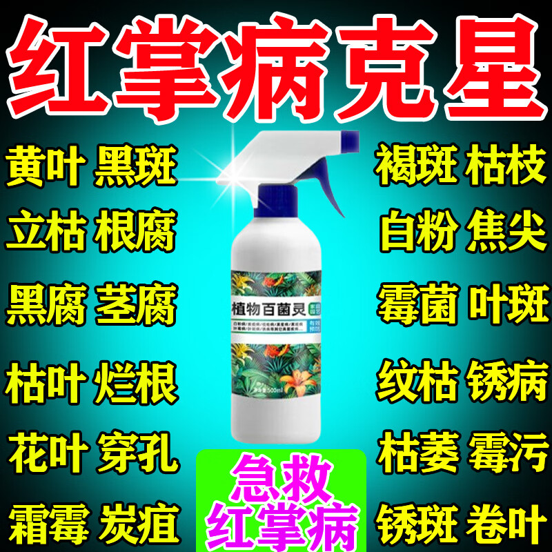 病专用药营养液小叶红唇红掌黑斑焦边枯萎炭疽病专用肥料 红掌杀菌剂