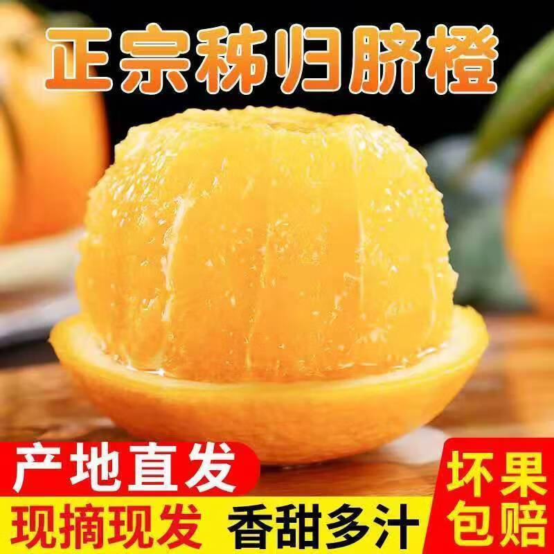集南鲜 湖北脐橙 秭归橙子新鲜现摘水果脐橙时令生鲜水果甜橙 水果礼盒 含箱10斤小果（60-65mm）
