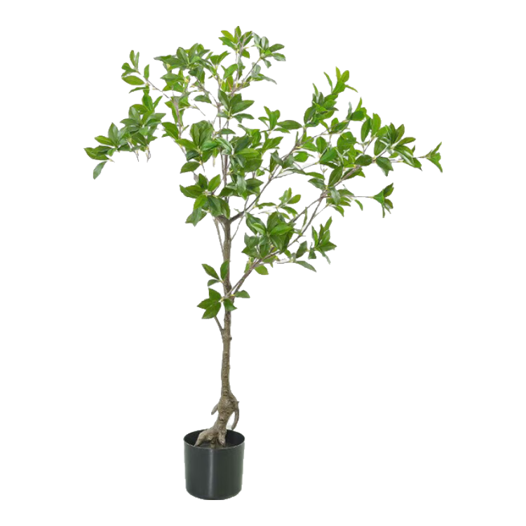 悠梵萌仿真植物盆景客廳大盆栽馬醉木櫥窗落地花藝造景綠植物120cm