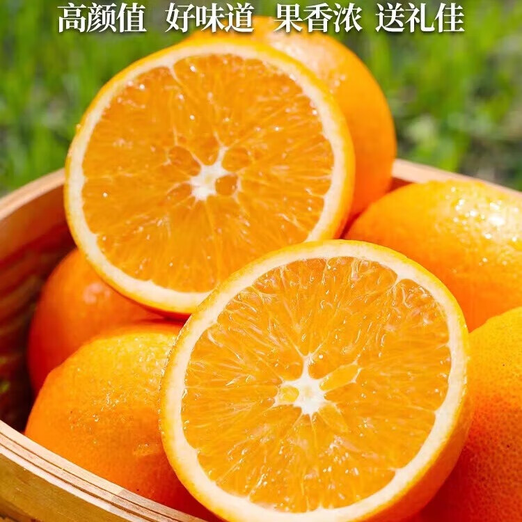 正宗奉节脐橙新鲜采摘当季高端产地直发送礼推荐 中果实惠装70-75mm 10斤正宗奉节脐橙净重9斤