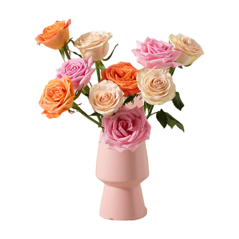 ���ĺ��õ�� ����ֱ�� ��ͷ50cm�ʺ�ɫ10֦