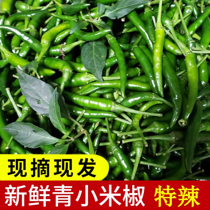 辰实【发货中】小米辣椒新鲜 小米椒 朝天超辣辣椒 指天椒特辣 1斤