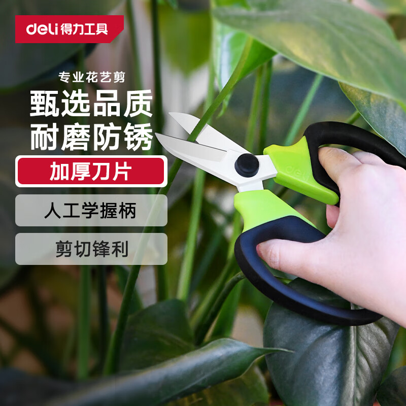 得力（deli）花枝剪花艺剪刀园艺剪刀 家用鲜花专用剪刀 盆栽花卉修剪刀 绿色