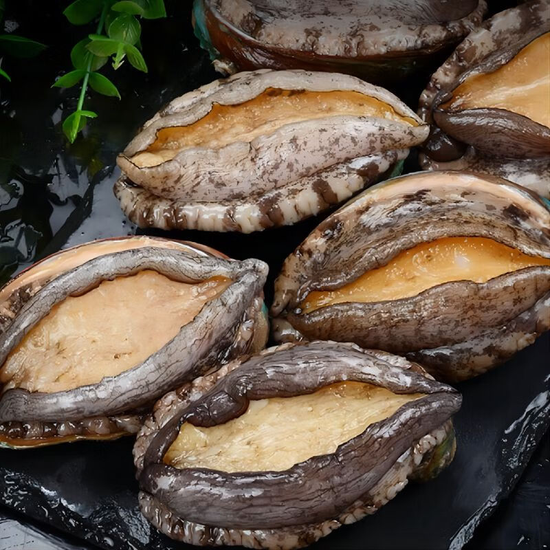 鹭鲜生厦航鹭鲜生莆田南日岛超低温活冻鲍鱼 6头鲍2袋装