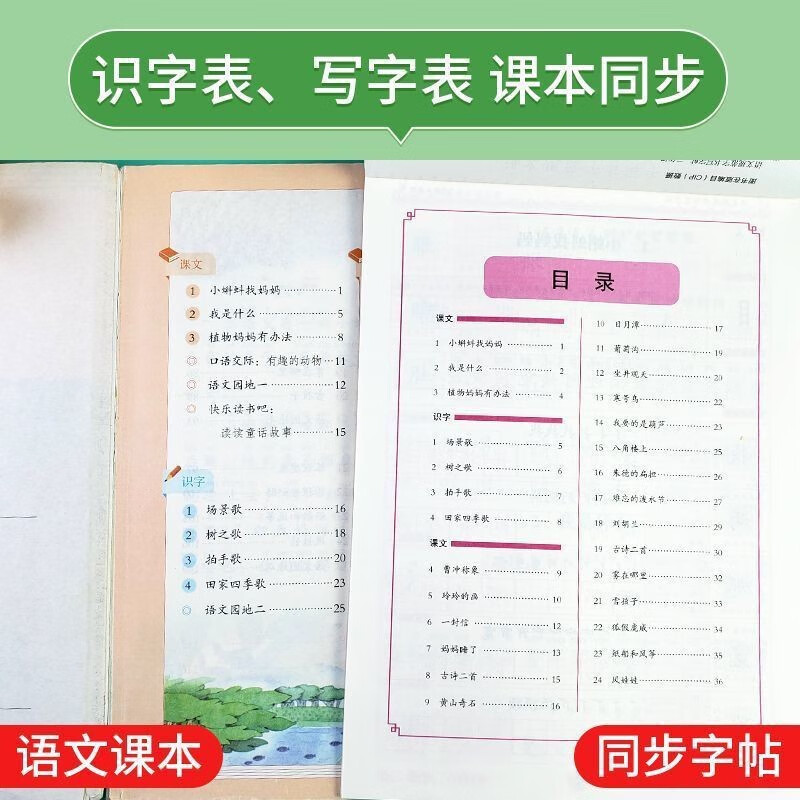 【严选】同步练字帖二年级语文下  小学通用 同步练字帖人教版 默认规格