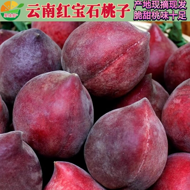果臻鲜红宝石桃子 云南新鲜红宝石桃 孕妇水果鹰嘴桃甜脆桃一级果 3斤（一级果） 一级果现发