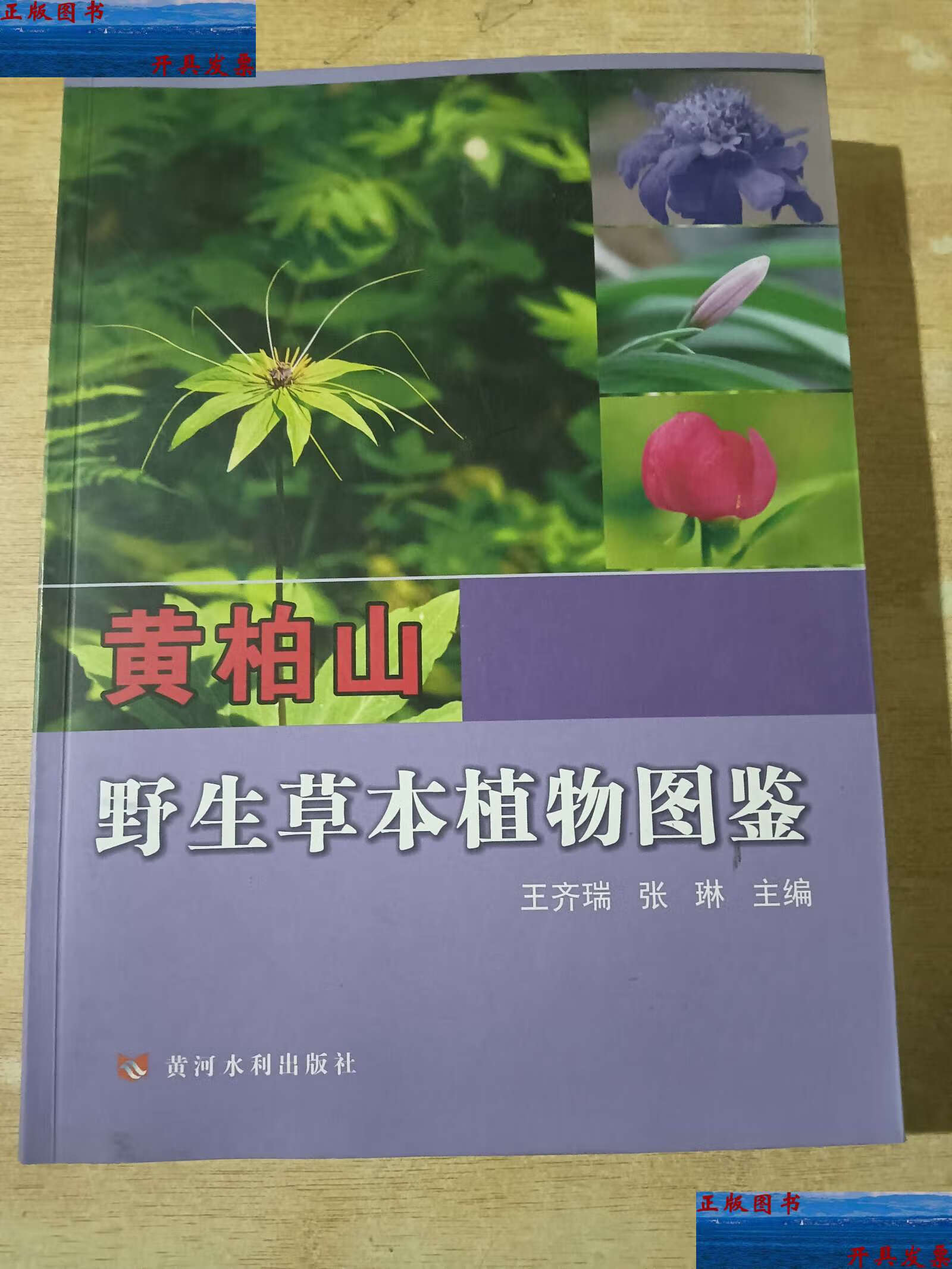 【二手9成新】黄柏山野生草本植物图鉴 /王齐瑞,张琳 黄河水利