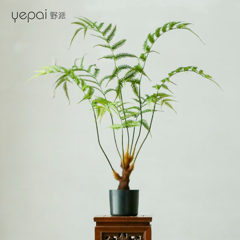 野派仿真金絲蕨綠植盆栽擺設(shè)客廳植物仿真盆栽玄關(guān)假樹落地裝飾品擺件 C款金絲蕨(含花盆)