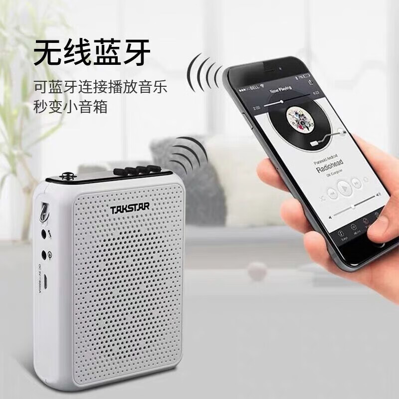 得胜(TAKSTAR) E300W小蜜蜂扩音器无线教师教学专用多功能蓝牙导游喇叭老师上课无线扩音器 E300W黑色