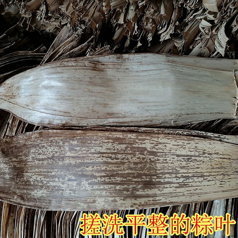 重庆寿竹壳新鲜斑竹壳大张粽叶端午包粽子黄粑叶竹叶四川笋叶宽叶 20