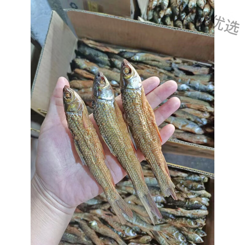 煙熏東江魚干500g紅眼魚小青魚湖南特產(chǎn)小干魚火焙魚臘魚大小可選 500克帶頭特小條/50多-70條(0.5k
