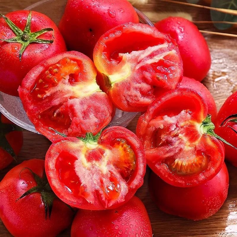 西红柿新鲜普罗旺斯自然熟蔬菜草莓柿子水果大生吃沙瓤番茄 带箱9-10斤【精选装】