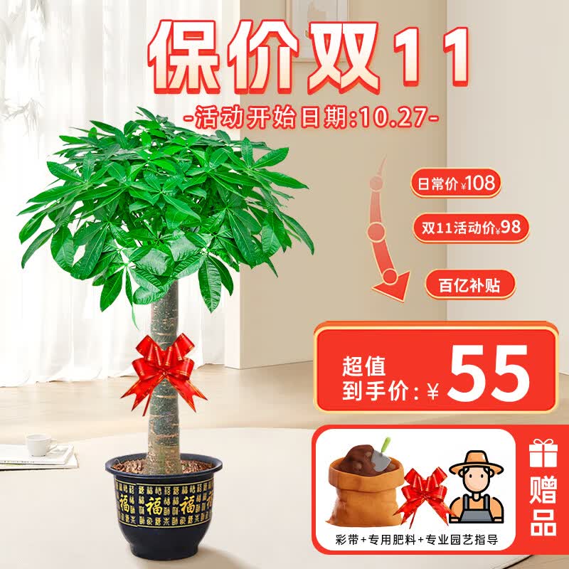 临雅发财树盆栽大型绿植物办公室内客厅落地大盆景摆件招财树乔迁开业 独杆款1.1-1.2米+福字盆+彩带+肥 原生盆属于什么档次？