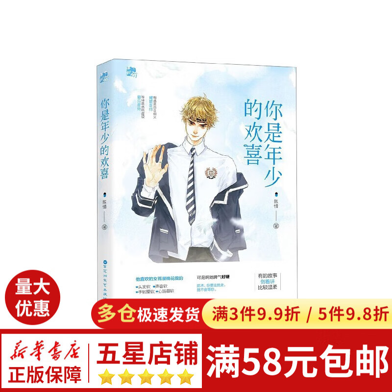 你是年少的欢喜