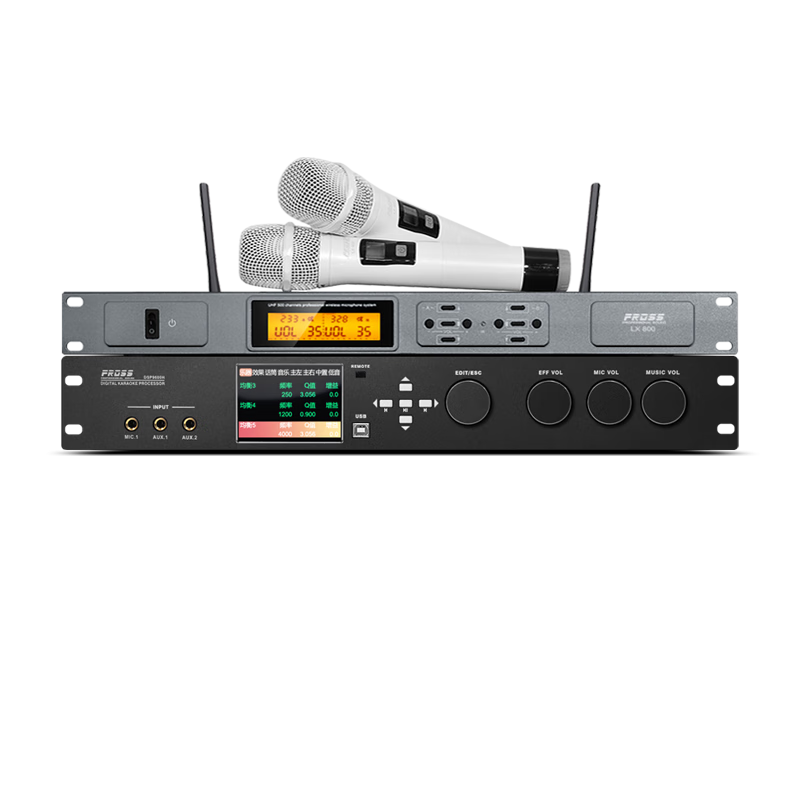 沸斯（FROSS） DSP9600 家庭卡拉ok混响器 专业ktv前级效果器 音频处理均衡器反馈抑制防啸叫舞台演出设备 KTV乐器版/黑色+无线麦克风