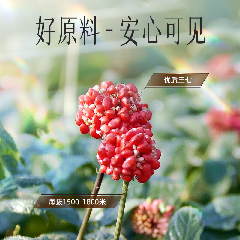 云南白药豹七冻干三七粉2g*60袋 豹七冻干三七粉2g*60袋