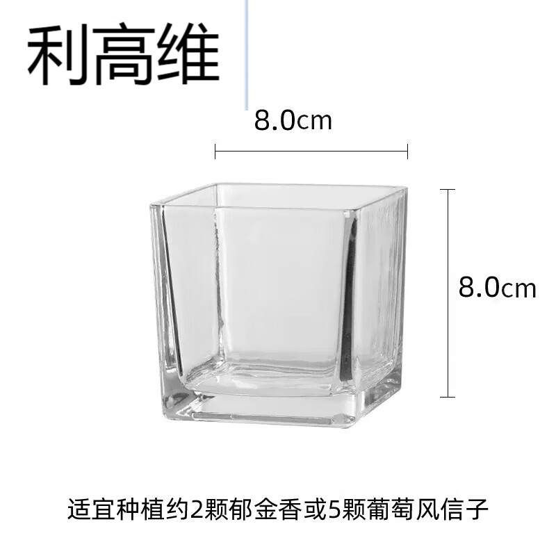 阡翌水培容器郁金香葡萄风信子等水养花瓶绿萝植物花卉透明圆方器 11.
