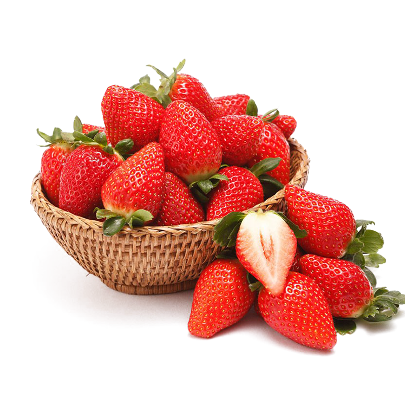 智宙四川大凉山现摘红颜奶油草莓送礼品水果礼盒装 净重2.5斤精品单果约8-15g