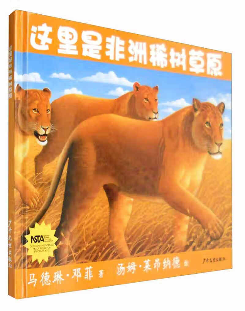 生命之网 这里是非洲稀树草原