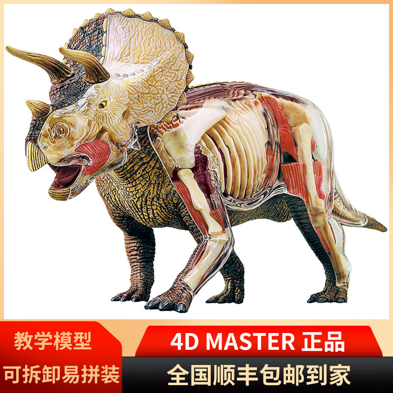 4d master恐龙大三角龙器官解剖模型益智拼装儿童玩具仿真动物 大三角