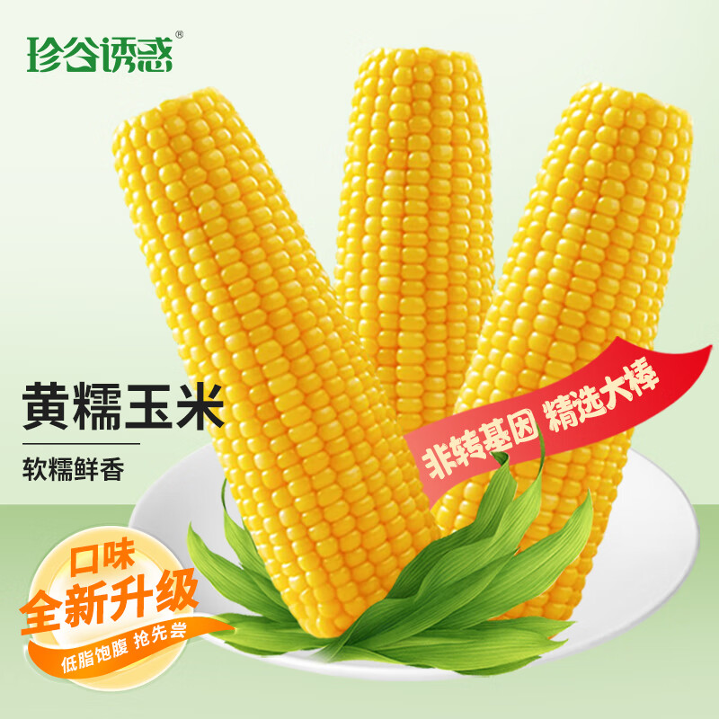 珍谷诱惑25年东北甜糯玉米棒 鲜食软糯 粘糯玉米 原产地直发 真空包装 精选黄糯玉米10支 2.4kg