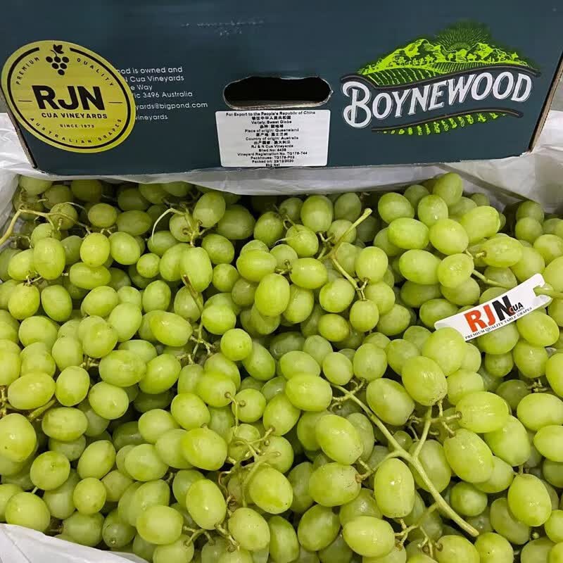 奶萝沐瑾澳洲进口甜地球秋天酥青提 无籽秋天脆葡萄脆甜多汁新鲜孕妇
