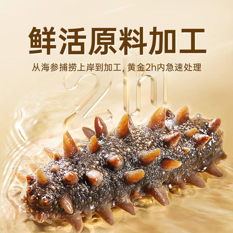 珍品堂 大连冷冻即食海参 辽刺参独立包装 新鲜海鲜水产 海参官方旗舰店 【大连高品辽参】2斤24-32 只 / 高端送礼 自用优选