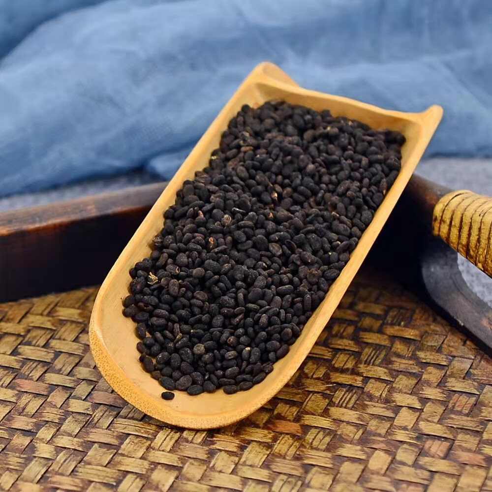 云南野生中药材补骨脂500g胡韭子 破故纸精选一级高药效养身