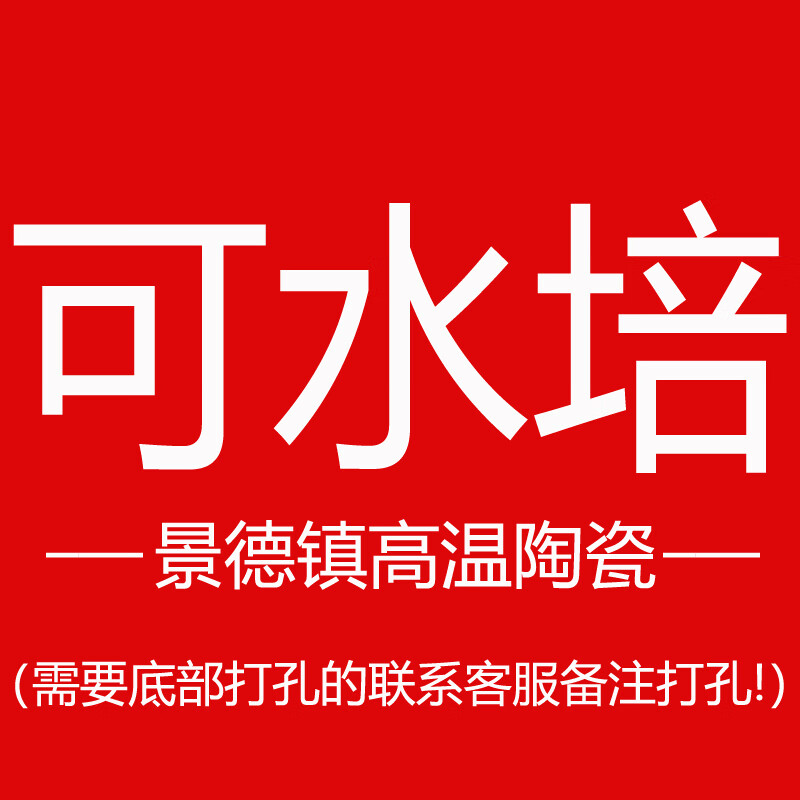 特此说明本店所有花瓶都可以装