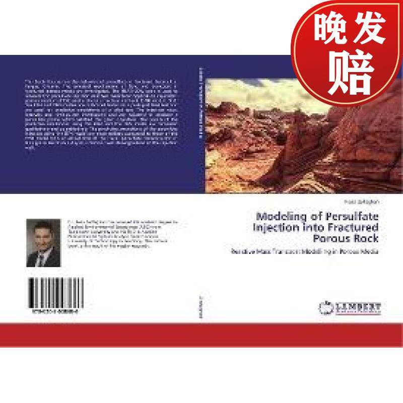 of persulfate injection into fractured porous rock