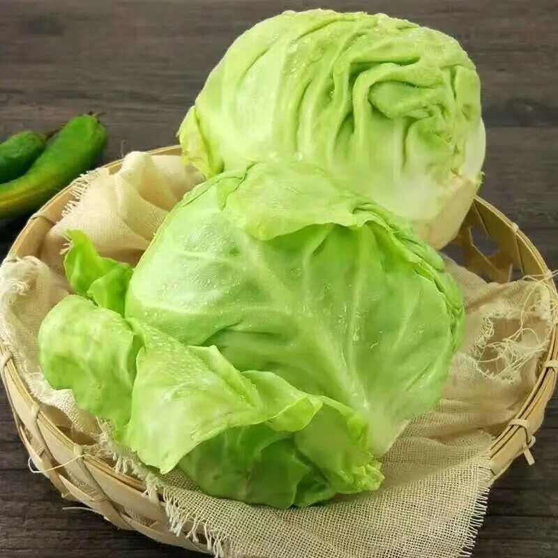 遇见悯农新鲜包菜卷心白菜蔬菜生鲜辣白菜原料产地直供整箱包邮 净重 45斤 包菜（卷心菜绿甘蓝）