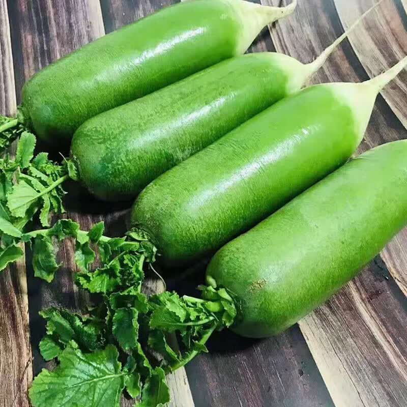 青萝卜生吃脆甜水果潍坊新鲜蔬菜 现拔现发 火锅食材 3斤