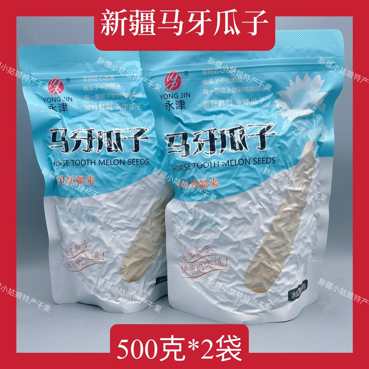 隽辰堂【500克*2袋】新疆马牙葵花籽永津瓜子零食原味特产 原味