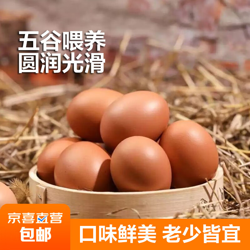吐蕃遇农正宗鸡蛋鲜鸡蛋农家散养新鲜农村自养鸡蛋 40枚装单枚40-50g