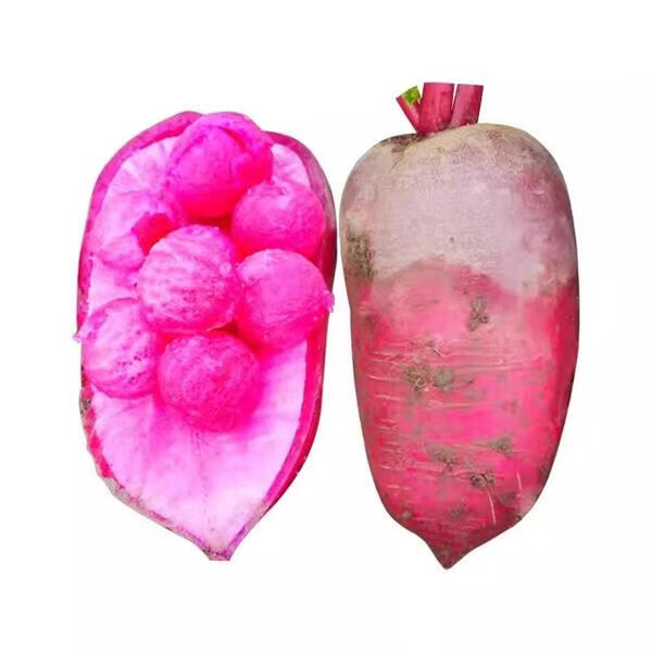 凤梨水果萝卜种子生吃紫美人萝卜胭脂萝卜籽夏季四季蔬菜种子大全 凤梨水果萝卜原装5克X10袋