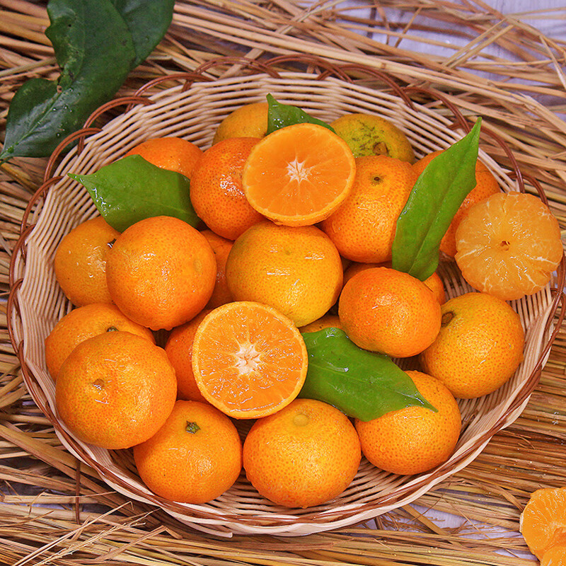张小壮广西金秋砂糖橘沙糖桔子小蜜整箱批发应当季水果 精选4.5-5斤