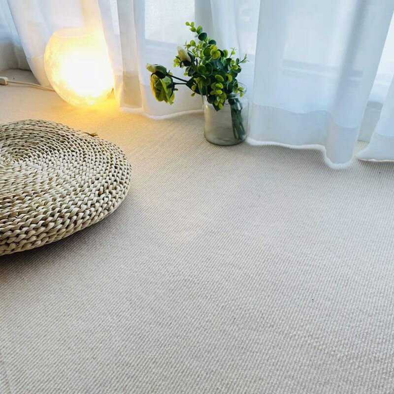 远嘉妮商用满铺地毯办公室卧室耐脏全铺大面积整卷拍照地毯可裁剪 单