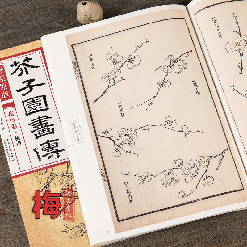 【二手99新】芥子园画传花鸟卷梅谱 康熙原版画谱绘画技法梅花花