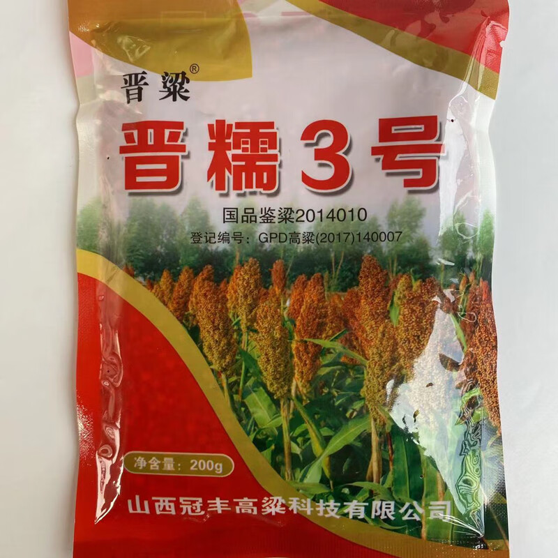 晋糯3号糯高粱种子酿酒高粱种子可收两季高粱稳产抗病 晋糯3号200克1