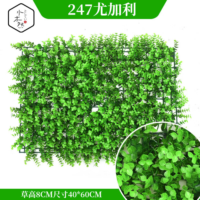 ˮľȻ����ֲ��ǽ��ֲ����ǽ���ϲ�ƺ247�ȼ�����ֲ��ͷ������װ��