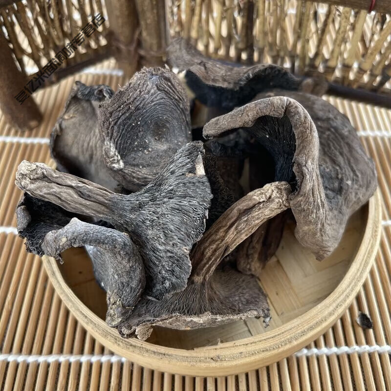 食怀野生碳菇天然黑炭菇黑蘑菇新鲜碳菇干货野生蘑菇东北 黑炭菇100g